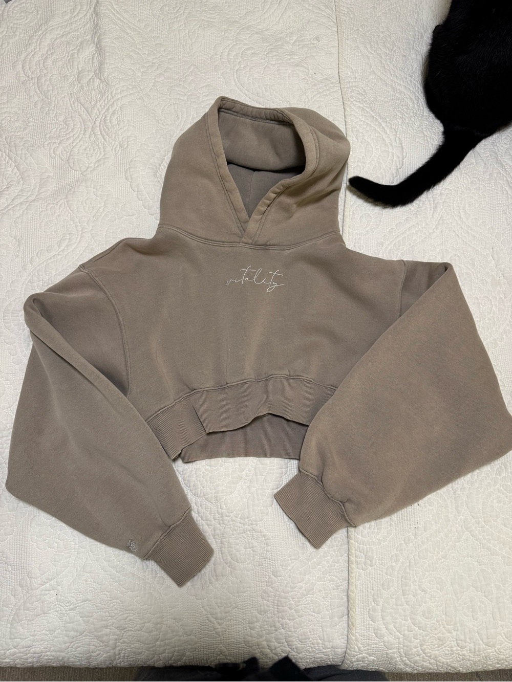Vitality Cropped Hoodie